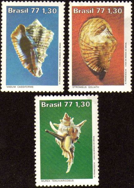 Moluscos do Brasil