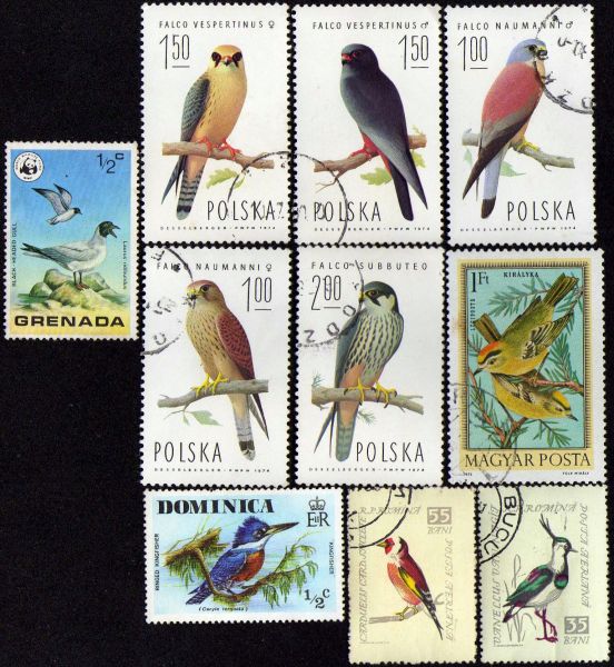 Pássaros